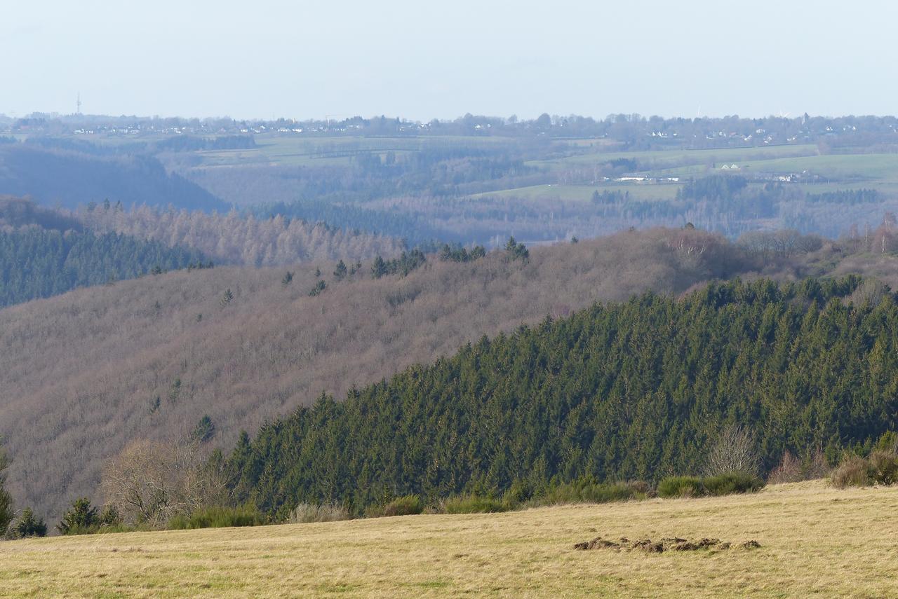 Chalets Am National Park Eifel Schleiden Εξωτερικό φωτογραφία