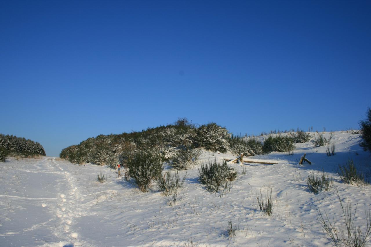 Chalets Am National Park Eifel Schleiden Εξωτερικό φωτογραφία