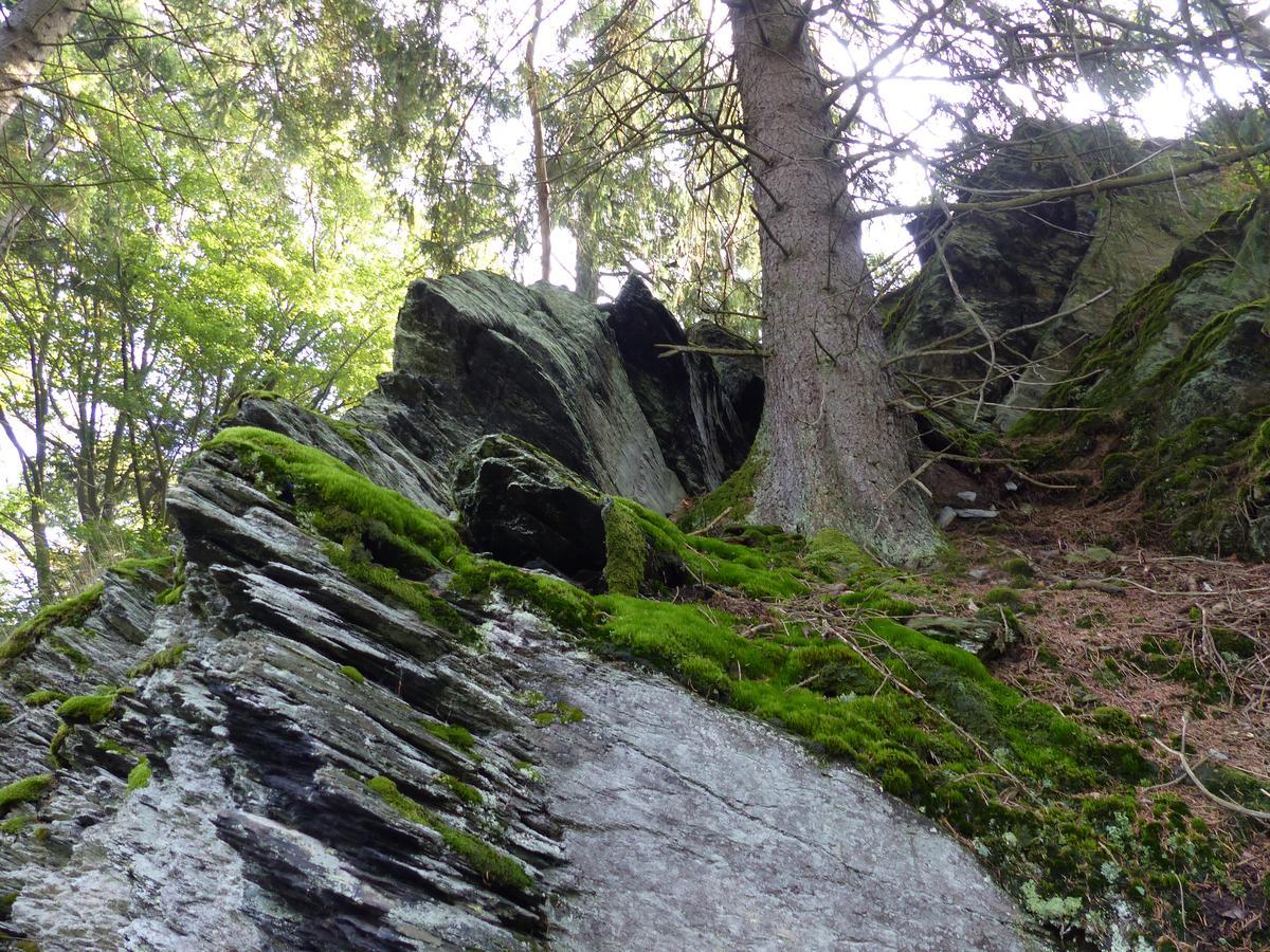 Chalets Am National Park Eifel Schleiden Εξωτερικό φωτογραφία